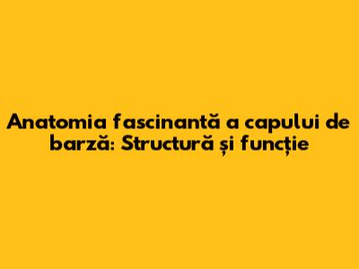 Anatomia fascinantă a capului de barză: Structură și funcție