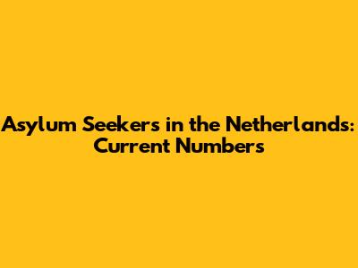Asylum Seekers in the Netherlands: Current Numbers
