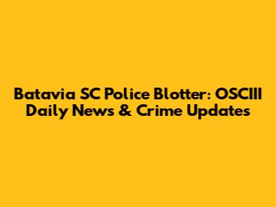 Batavia SC Police Blotter: OSCIII Daily News & Crime Updates