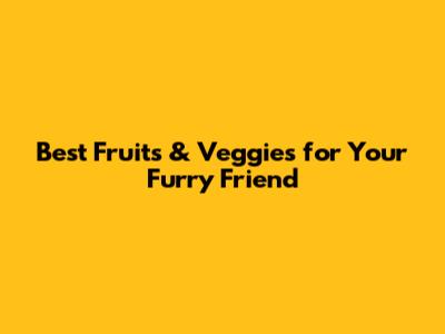 Best Fruits & Veggies for Your Furry Friend