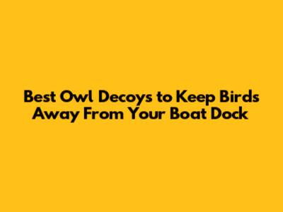 Best Owl Decoys to Keep Birds Away From Your Boat Dock