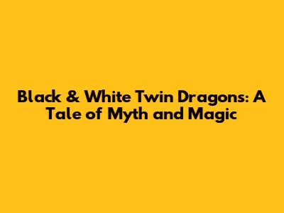 Black & White Twin Dragons: A Tale of Myth and Magic