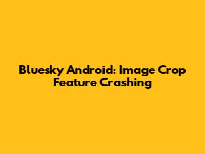 Bluesky Android: Image Crop Feature Crashing