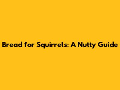 Bread for Squirrels: A Nutty Guide