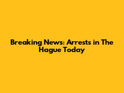 Breaking News: Arrests in The Hague Today