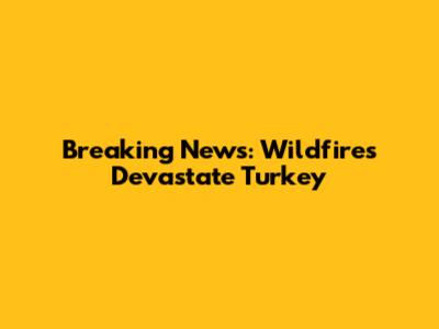 Breaking News: Wildfires Devastate Turkey