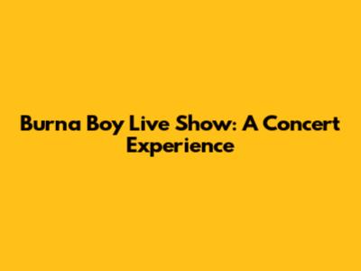 Burna Boy Live Show: A Concert Experience
