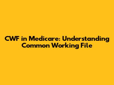CWF in Medicare: Understanding Common Working File