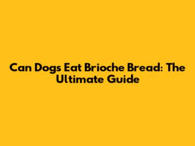 Can Dogs Eat Brioche Bread: The Ultimate Guide