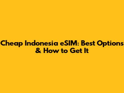 Cheap Indonesia eSIM: Best Options & How to Get It
