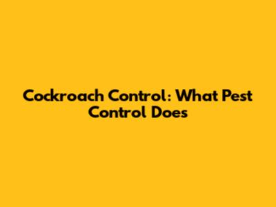 Cockroach Control: What Pest Control Does