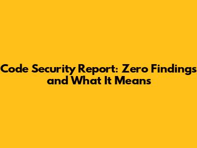 Code Security Report: Zero Findings and What It Means