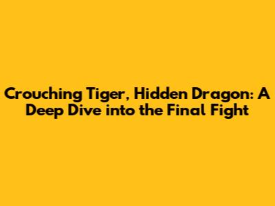 Crouching Tiger, Hidden Dragon: A Deep Dive into the Final Fight