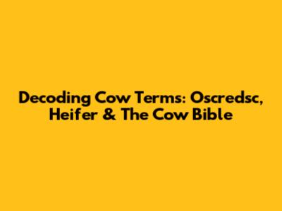 Decoding Cow Terms: Oscredsc, Heifer & The Cow Bible