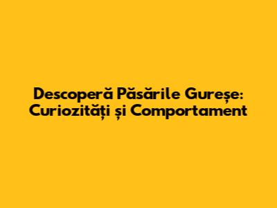 Descoperă Păsările Gureșe: Curiozități și Comportament