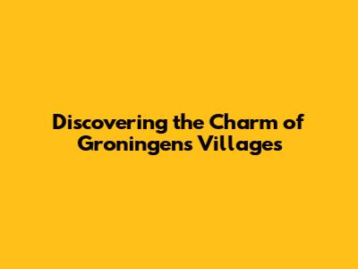Discovering the Charm of Groningen's Villages