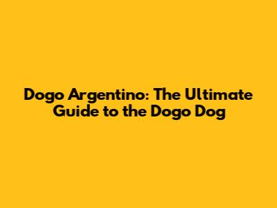 Dogo Argentino: The Ultimate Guide to the Dogo Dog