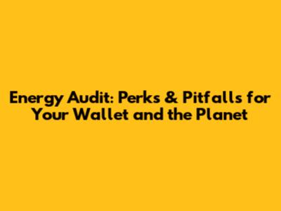 Energy Audit: Perks & Pitfalls for Your Wallet and the Planet