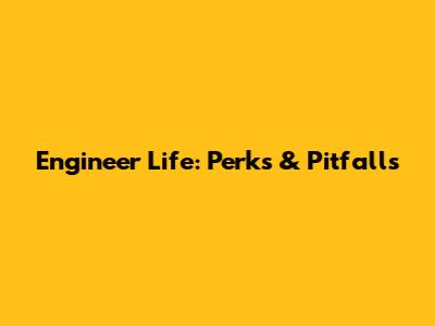 Engineer Life: Perks & Pitfalls