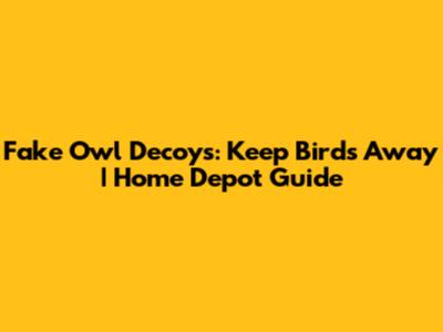 Fake Owl Decoys: Keep Birds Away | Home Depot Guide