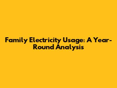 Family Electricity Usage: A Year-Round Analysis