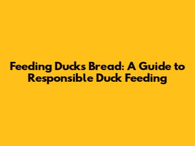 Feeding Ducks Bread: A Guide to Responsible Duck Feeding