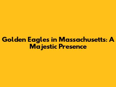 Golden Eagles in Massachusetts: A Majestic Presence