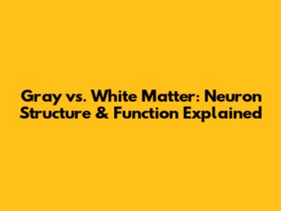 Gray vs. White Matter: Neuron Structure & Function Explained