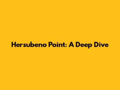 Hersubeno Point: A Deep Dive