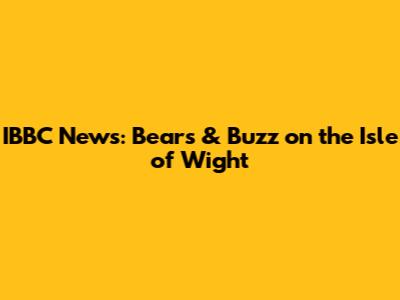 IBBC News: Bears & Buzz on the Isle of Wight
