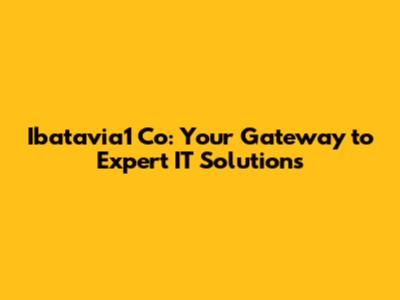 Ibatavia1 Co: Your Gateway to Expert IT Solutions
