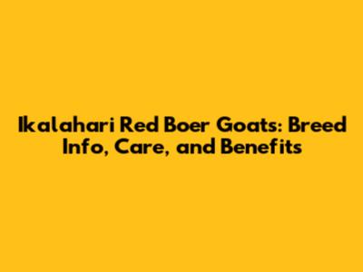 Ikalahari Red Boer Goats: Breed Info, Care, and Benefits