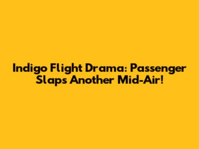 Indigo Flight Drama: Passenger Slaps Another Mid-Air!