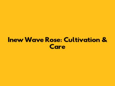 Inew Wave Rose: Cultivation & Care