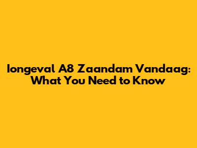 Iongeval A8 Zaandam Vandaag: What You Need to Know