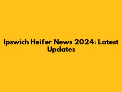 Ipswich Heifer News 2024: Latest Updates