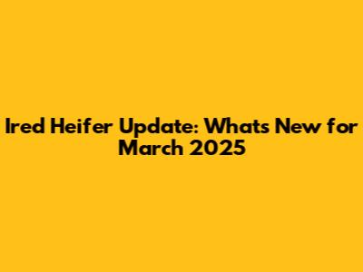 Ired Heifer Update: What's New for March 2025