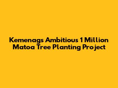 Kemenag's Ambitious 1 Million Matoa Tree Planting Project