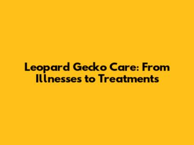 Leopard Gecko Care: From Illnesses to Treatments