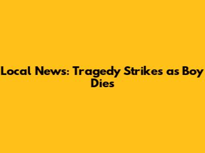 Local News: Tragedy Strikes as Boy Dies