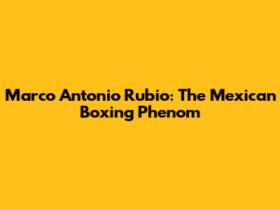 Marco Antonio Rubio: The Mexican Boxing Phenom