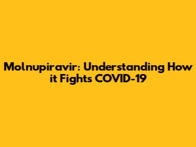 Molnupiravir: Understanding How it Fights COVID-19