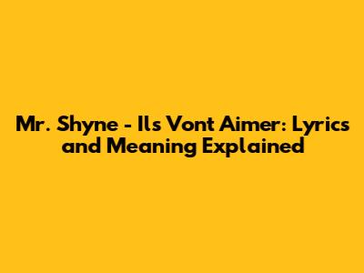 Mr. Shyne - Ils Vont Aimer: Lyrics and Meaning Explained