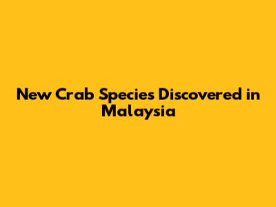New Crab Species Discovered in Malaysia