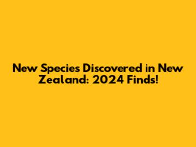 New Species Discovered in New Zealand: 2024 Finds!