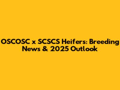 OSCOSC x SCSCS Heifers: Breeding News & 2025 Outlook