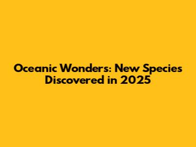 Oceanic Wonders: New Species Discovered in 2025