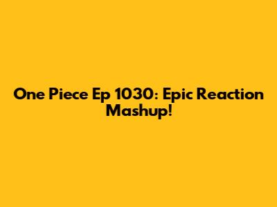 One Piece Ep 1030: Epic Reaction Mashup!