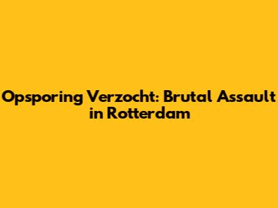 Opsporing Verzocht: Brutal Assault in Rotterdam