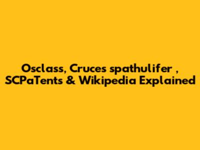 Osclass, *Cruces spathulifer*, SCPaTents & Wikipedia Explained